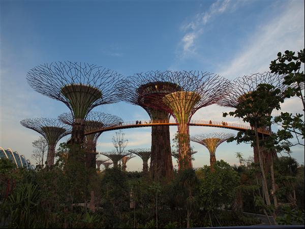 Gardens by the bay