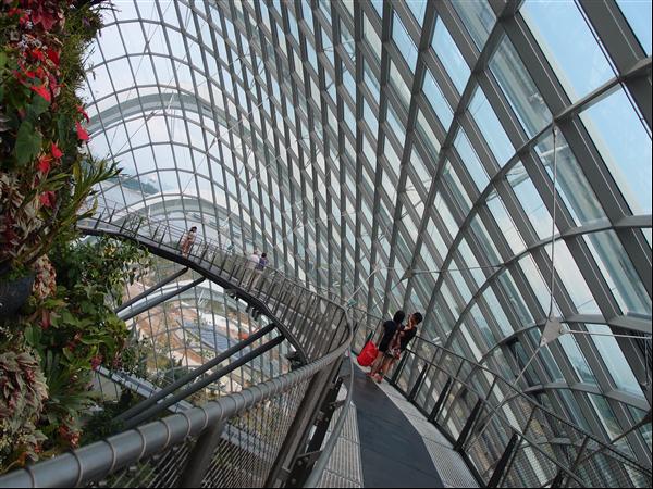 Gardens by the bay conservatory