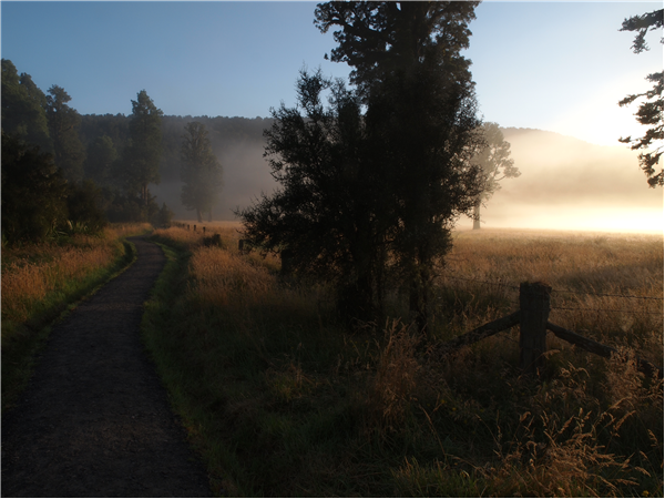 Sunrise walk